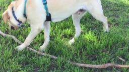 Sandy at the Park