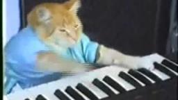 Keyboard Cat Gone Cool