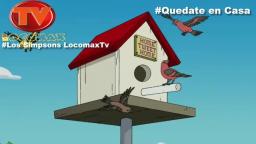 LocomaxTv Anime 2020