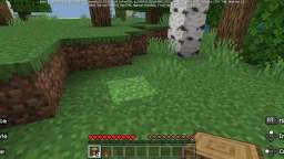 playing Minecraft