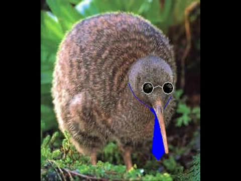 Fin del mundo - Un día en la vida del Kiwi (de KiwiPicaCulos aka SadicoMercenario)
