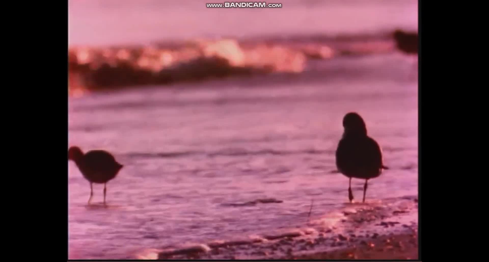 bandicam 2025-05-06 20-59-17-292 bandicam 2025-05-06 20-59-17-292