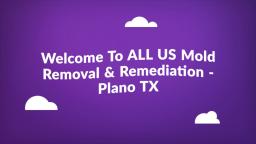 ALL US Mold Removal & Remediation in Plano TX : Home Inspector