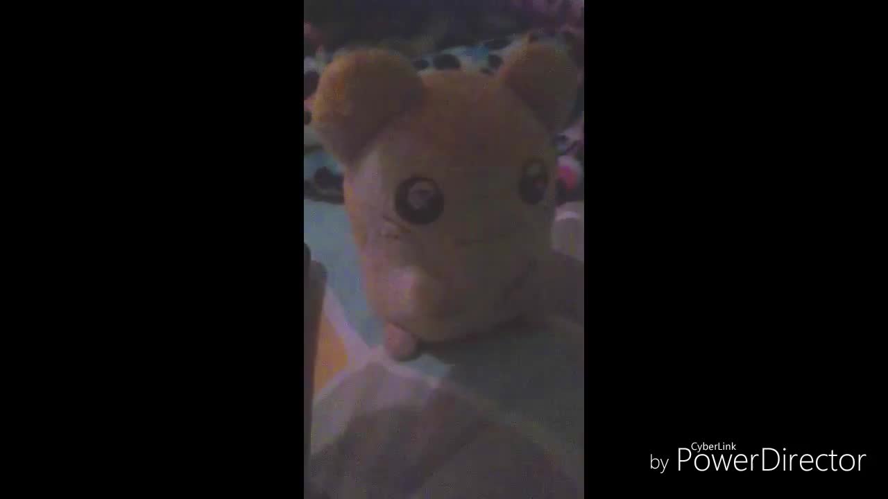 a stupid video