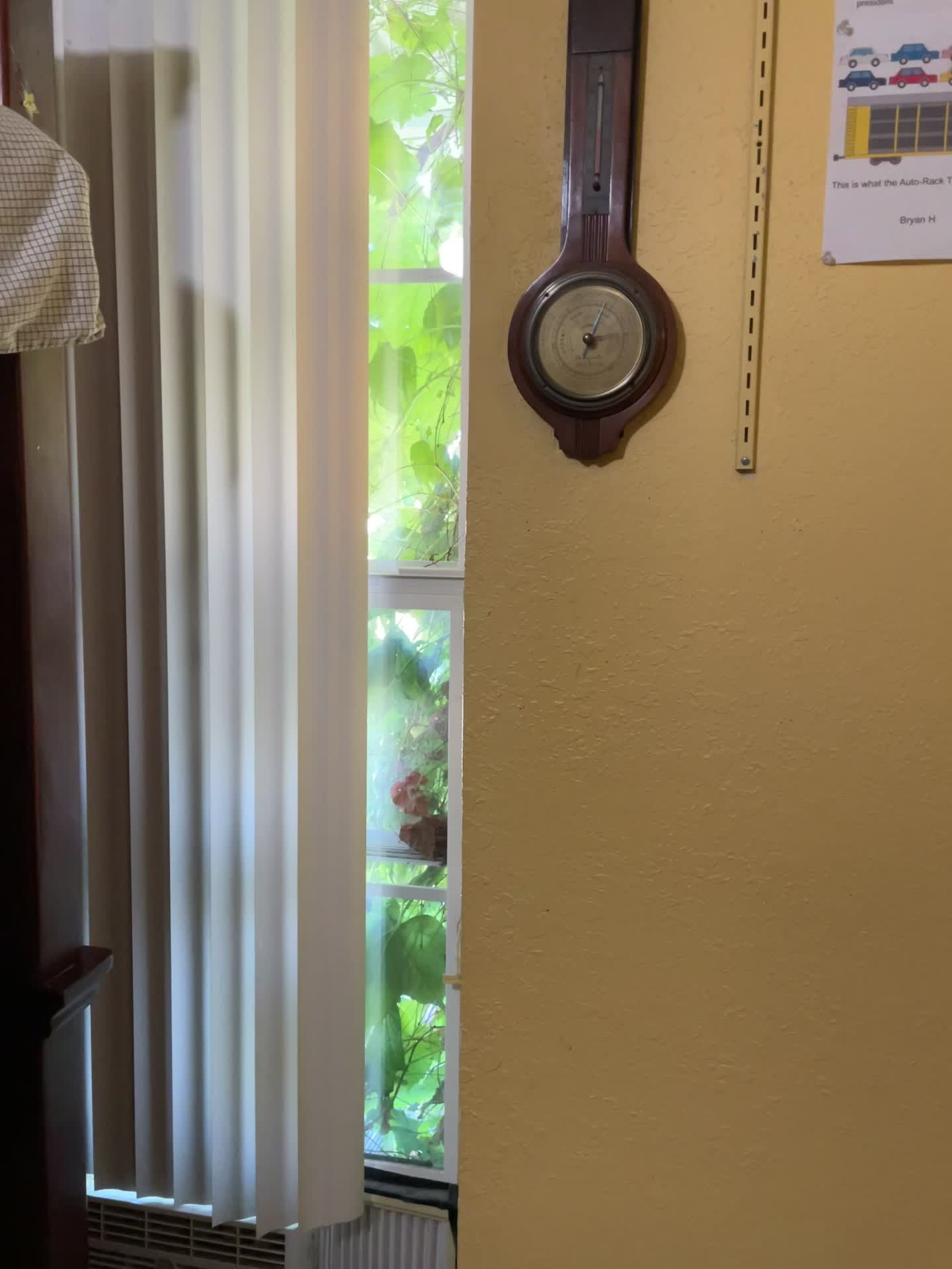 YT Short: Tornado Siren in my Room