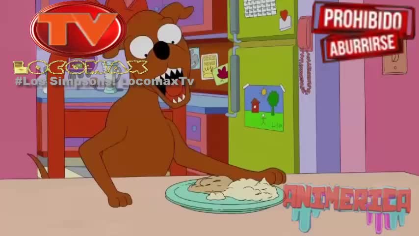 LocomaxTv Bolivia Anime Junio 2025