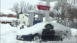 Consequences of a snow storm in American Buffalo