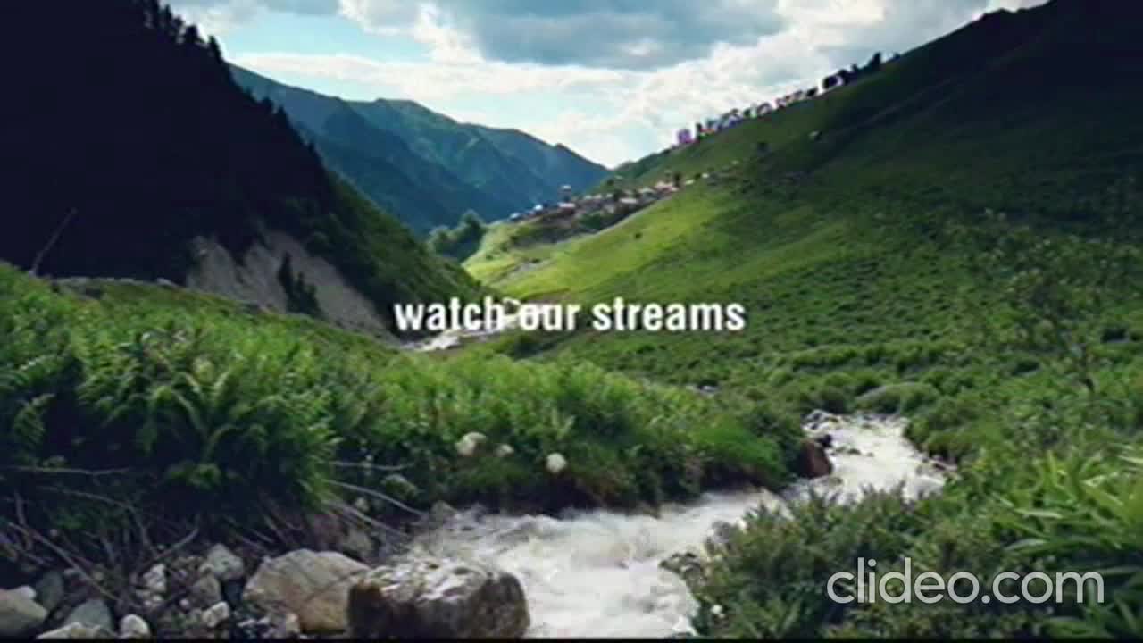 Adult Swim Spring 2026 Bumps