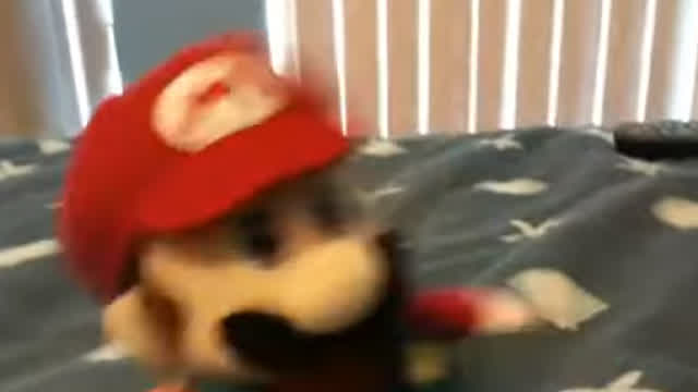 SuperMarioHogan non Canon Plush Show: status update for The Worried