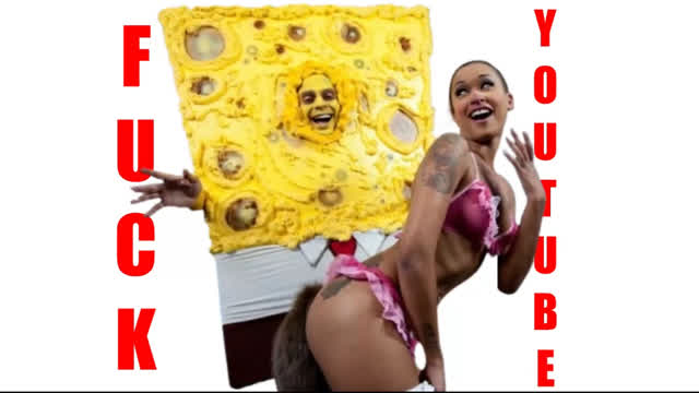 Spongeknob Squarenuts - REACTION VIDEO