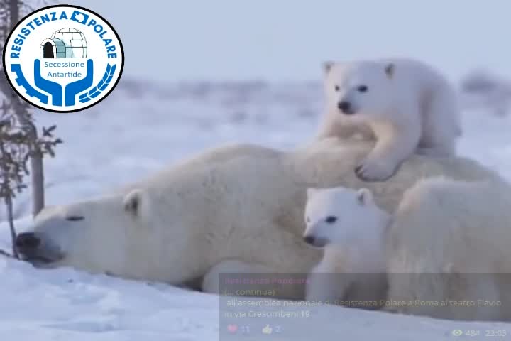 Resistenza Polare