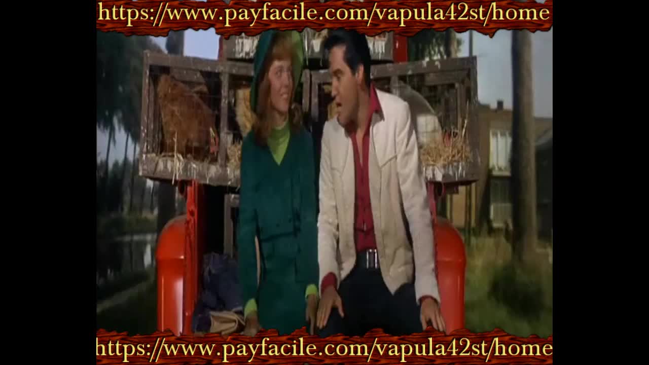 Croisiere.Surprise    Double.Trouble     Elvis.Presley   live  Saint-Étienne loire rmk42tvkaraoke