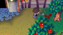 Animal Crossing Wild World- Design Show Off - PMD Grovyle Portrait