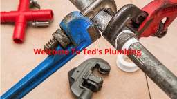 Teds Plumbing : Emergency Plumber in Fort Lauderdale