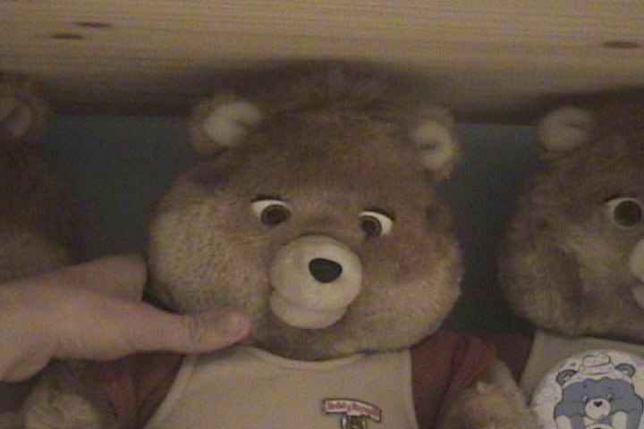 My Collection of Teddy Ruxpins and Grubbys