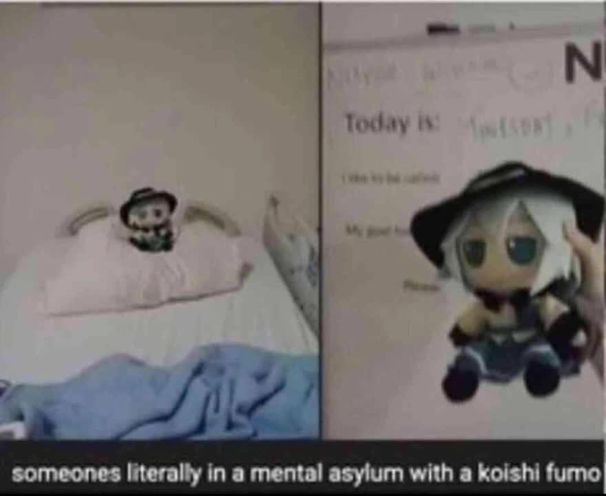 Koishi Asylum