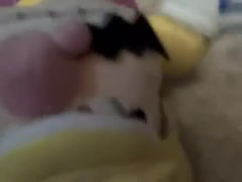 Wario's bmx challenge Wario's bmx challenge