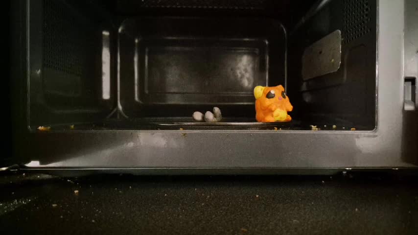 1 hamster 3 kids