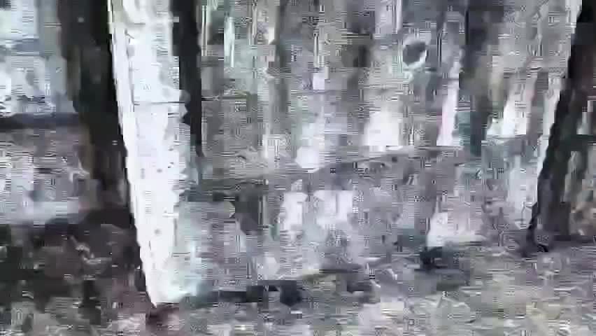 Video_q_with_a_line.mp4 Video_q_with_a_line.mp4