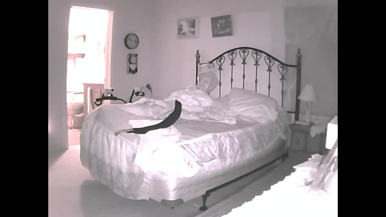 IP Camera Trolling - Wake Up Call #1