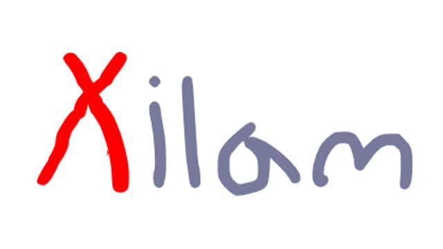 Xilam intro recreated
