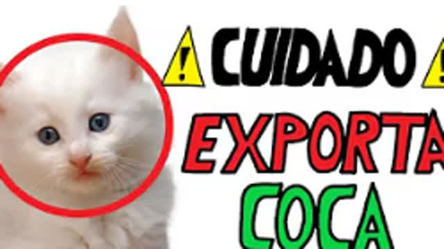 LA HISTORIA DEL MAYOR MERCADO NEGRO DE LA DEEP WEB Y DARK WEB SILK ROAD