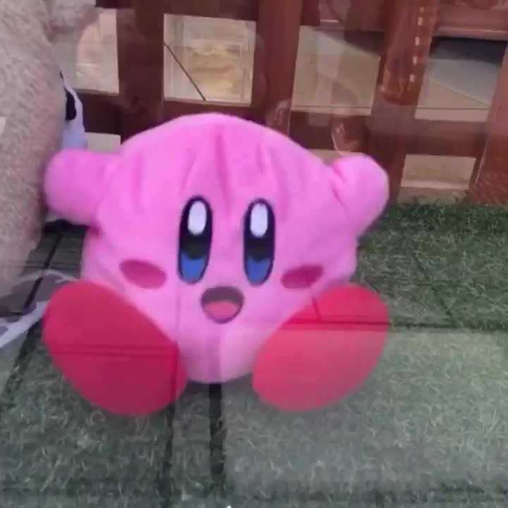 kIRBY_NO