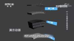 Video of the internal structure of ACF artificial cartilage