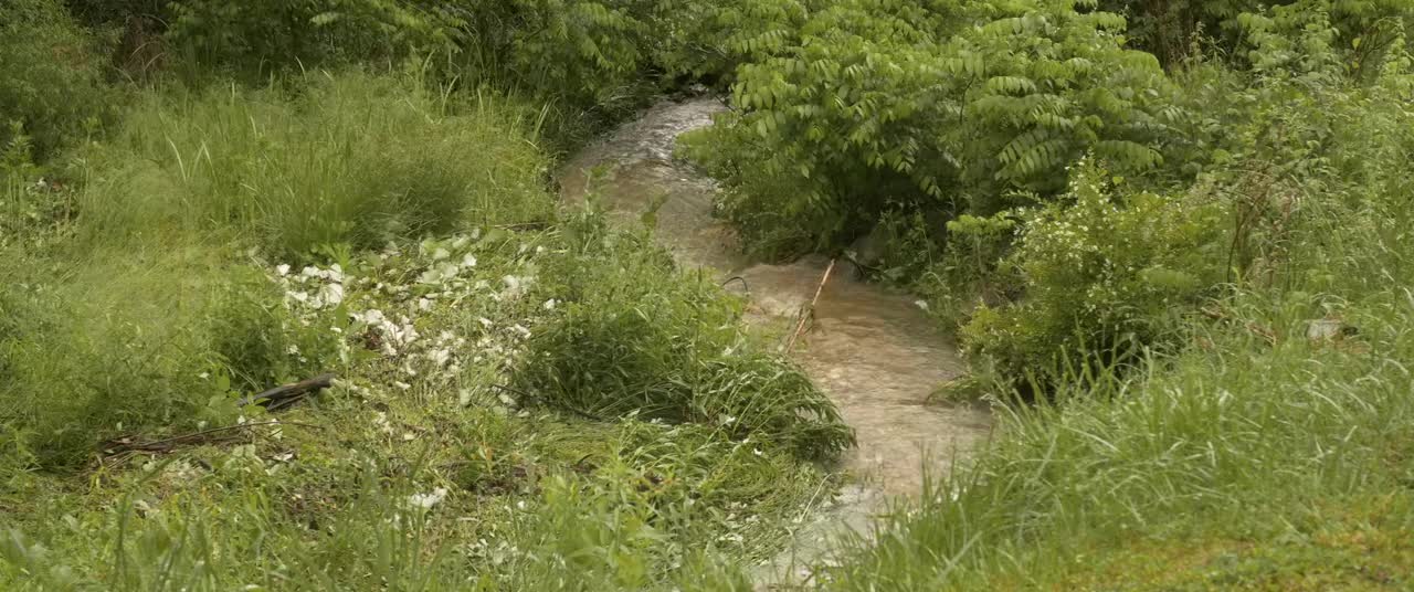 InReal ~ Spring Showers