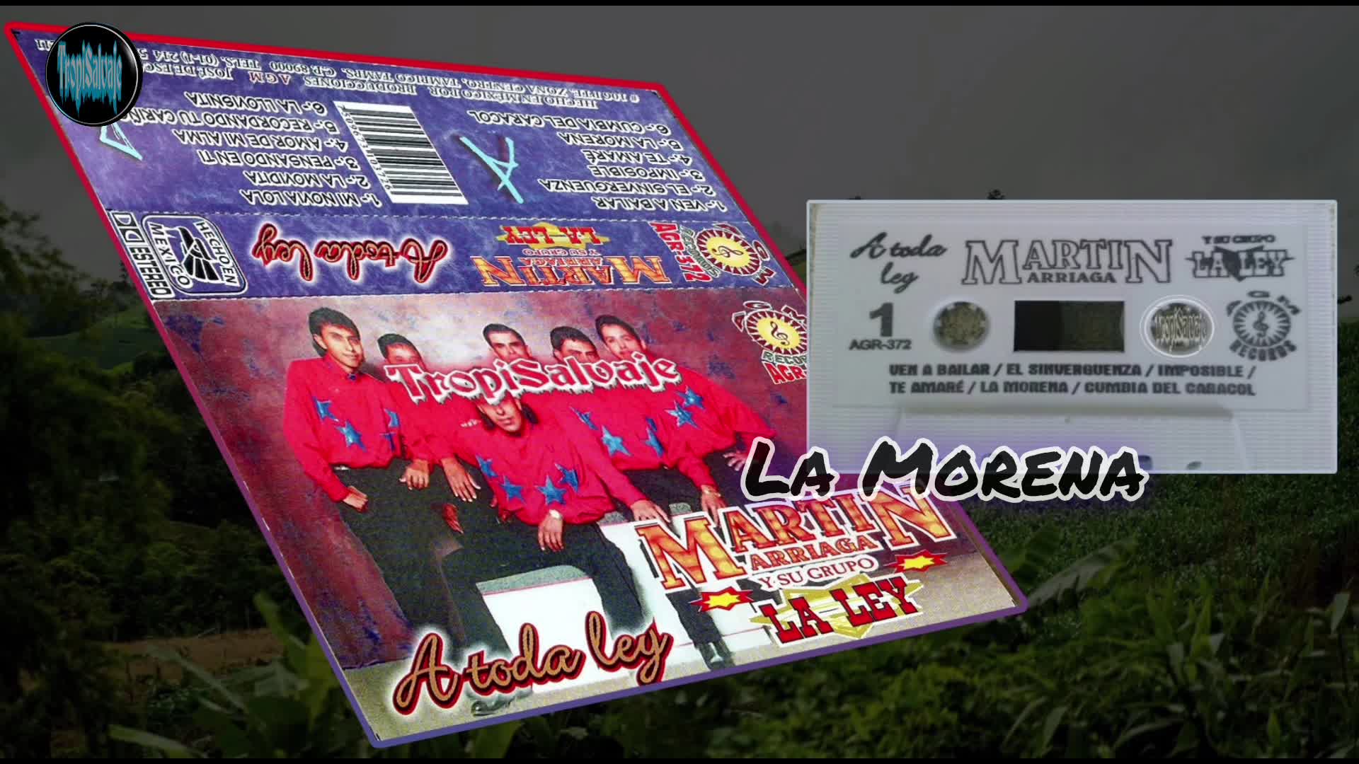 Martin Arriaga mi Morena Martin Arriaga mi Morena