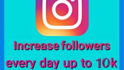 Increase Instagram followers 10k every day