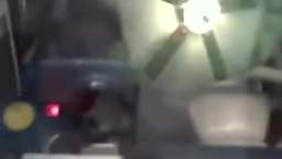 Yoshi Takes Mario to McDonalds