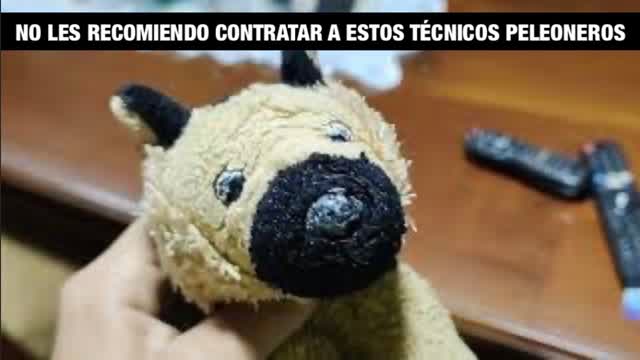 No Les Recomiendo Contratar a estos Técnicos Peleoneros