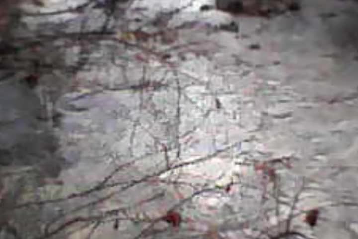 MOV_0000008 MOV_0000008