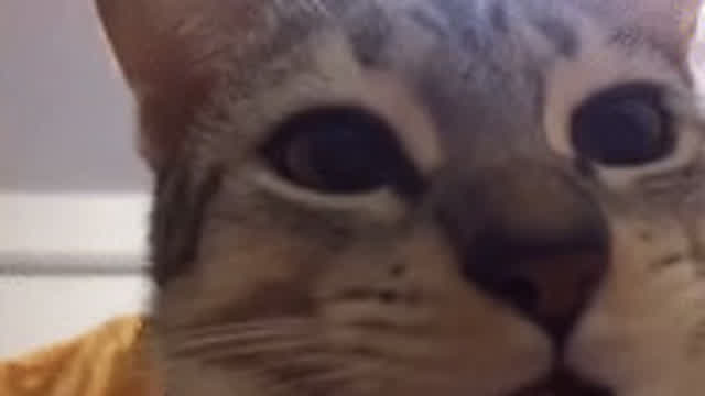 1:26.78 solve on 5x5