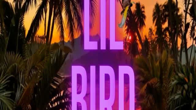 Lil Bird Knowz ~ Leah’s Lyricals