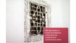 Mold Remediation Yulee, FL - Breathe Cleaner Aire