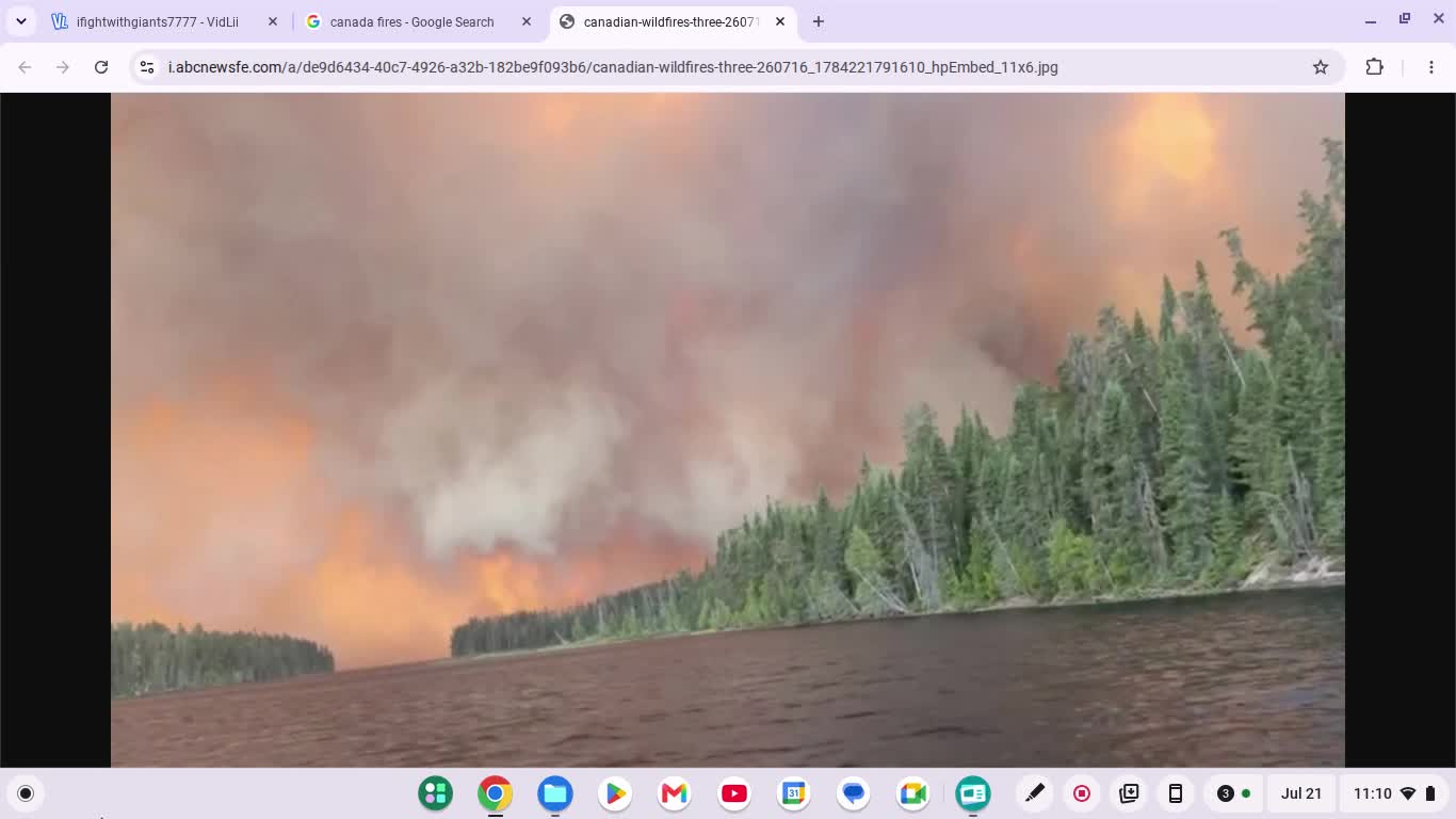 Canada fires. Motivations