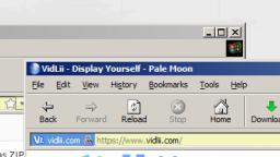 ie theme for pale moon!