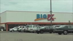 BIRD FLIES INTO KMART SIGN