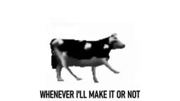 polish cow lyrics