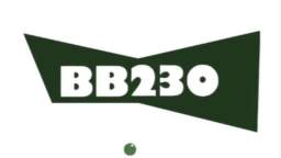 bb230identa.WMV