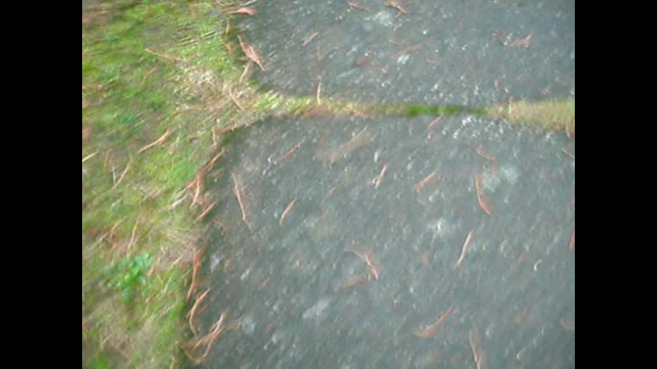 Old Videos Of Old Stanley and Friends! Old Videos Of Old Stanley and Friends!