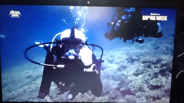 Adult Swim Commercial Break Saturday, August 1, 2026 Adult Swim Commercial Break Saturday, August 1, 2026