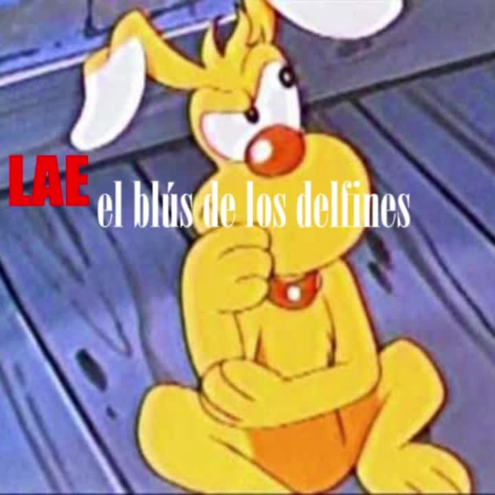 El blús de los delfines