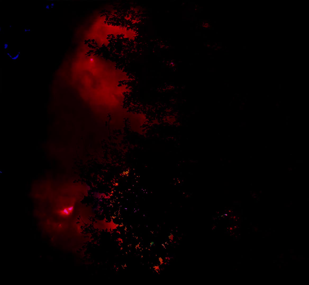 A First For Me A First For Me