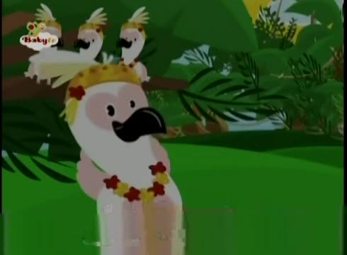 First Baby Songs - Cockatoo