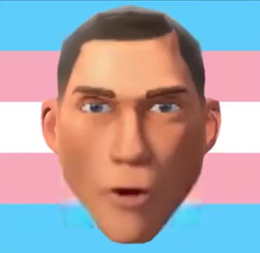 trans scout