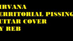 Nirvana - Territorial Pissings (Guitar Cover)