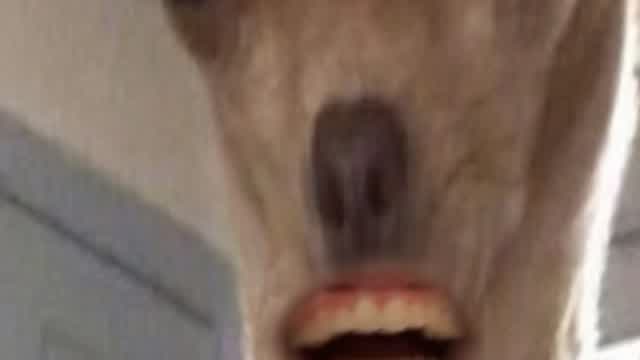 Im coming after you Im coming after you